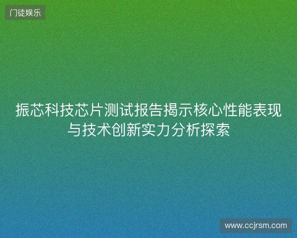 振芯科技芯片测试报告揭示核心性能表现与技术创新实力分析探索